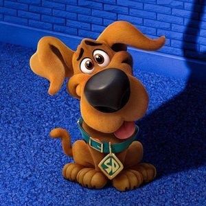 Meet your Posher, Kenneth